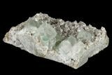 Green, Octahedral Fluorite Crystals on Quartz - China #114019-2